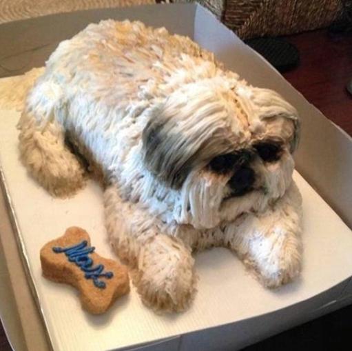 逼真的“小狗”蛋糕 把家里的狗子吓呆了