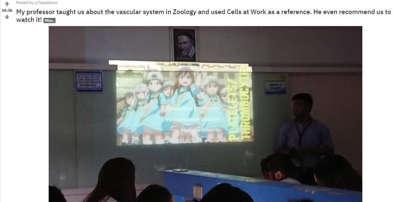 菲律宾亚当森大学教授用动画《工作细胞》当教育 网友称赞生物教授是“神”