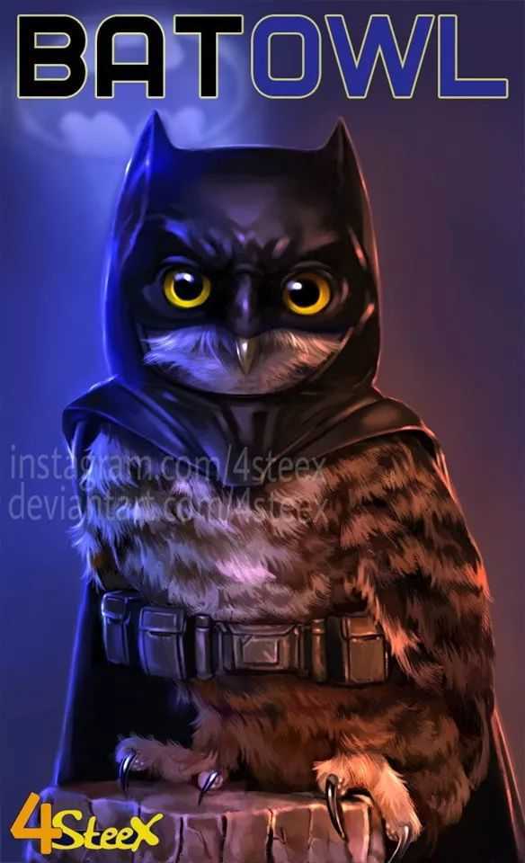 猫与猫头鹰版超级英雄 萌宠动物化身超级英雄