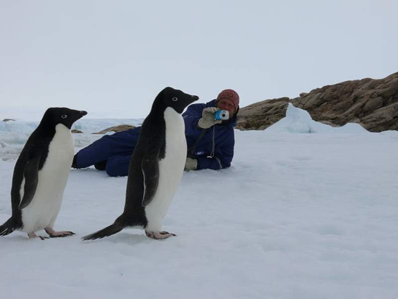 南极离奇谋杀案 科学家不满“一直被剧透”怒捅同事