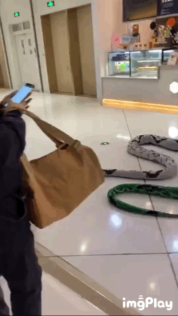 精选爆笑GIF动态图片 每张自拍照出现同一个人细思极恐