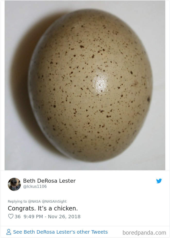 NASA洞察号着陆传来火星表面照片 网友“才华病”发作脑洞大开