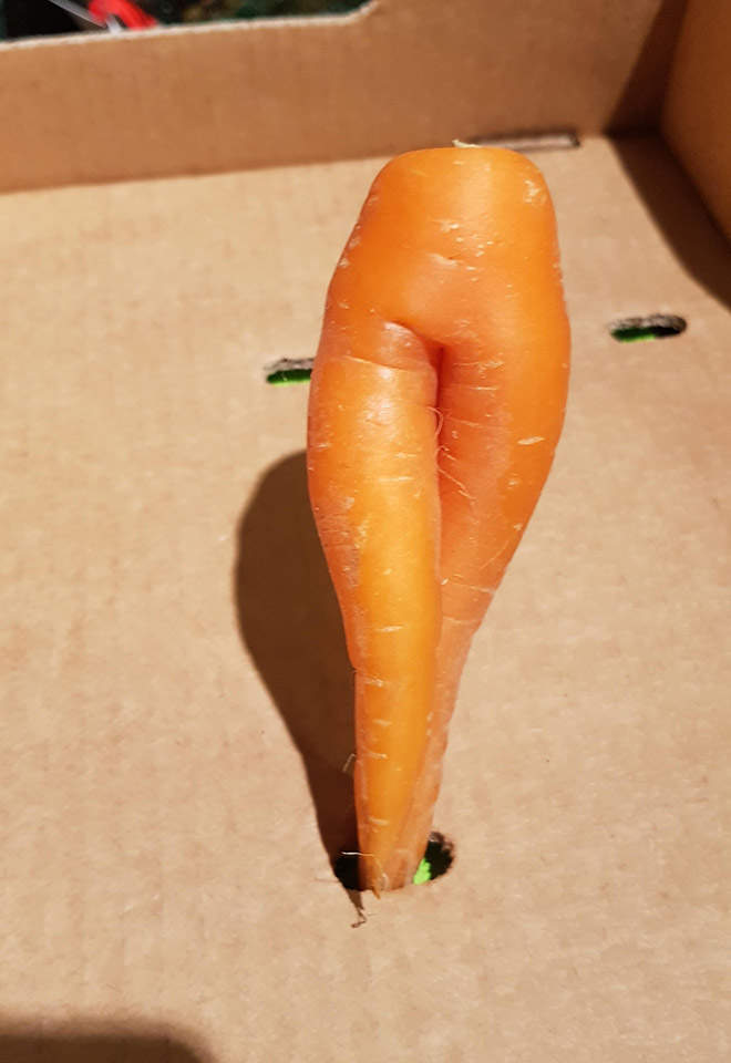 果蔬界“正妹”美腿胡萝卜 性感交叉双腿魅力无限