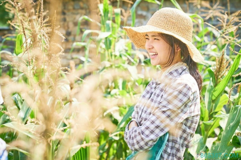 《小森林》，万物皆有其时