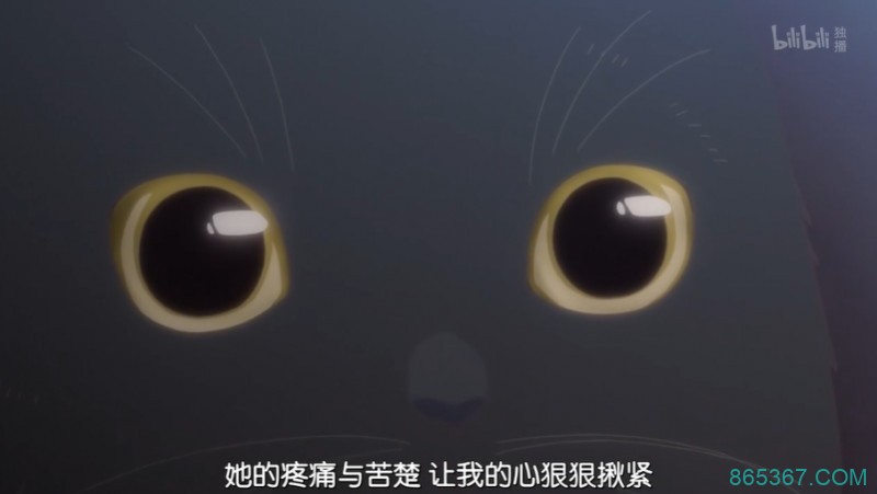 泡面番《她和她的猫》 只有四话却能让你看哭