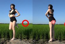 田中央更衣片流出！正妹真实身材全看光网暴动：肃然起敬