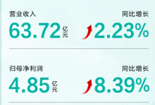 华帝2024年业绩报告：净利4.85亿元 已连续2年盈利【EV扑克官网】