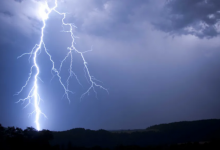 雷神震怒！这种树竟然“引雷”杀死寄生虫和周边树木【EV扑克官网】