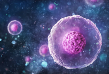 科学家新发现一种“超级干细胞” 可帮助治疗多种疾病【EV扑克官网】