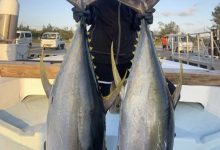 不只会剑玉！涼森れむ(凉森玲梦)还是天才小钓手！【EV扑克官网】