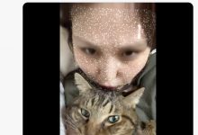 爱猫过世了⋯东北美人的她也不做了！【EV扑克官网】