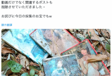 作品被丢到山里⋯架乃ゆら(架乃由罗)这么看【EV扑克官网】