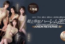 [ACHJ-002]痴女的时代来临！ Madonna打造让男艺人做恶梦的新系列！【EV扑克官网】